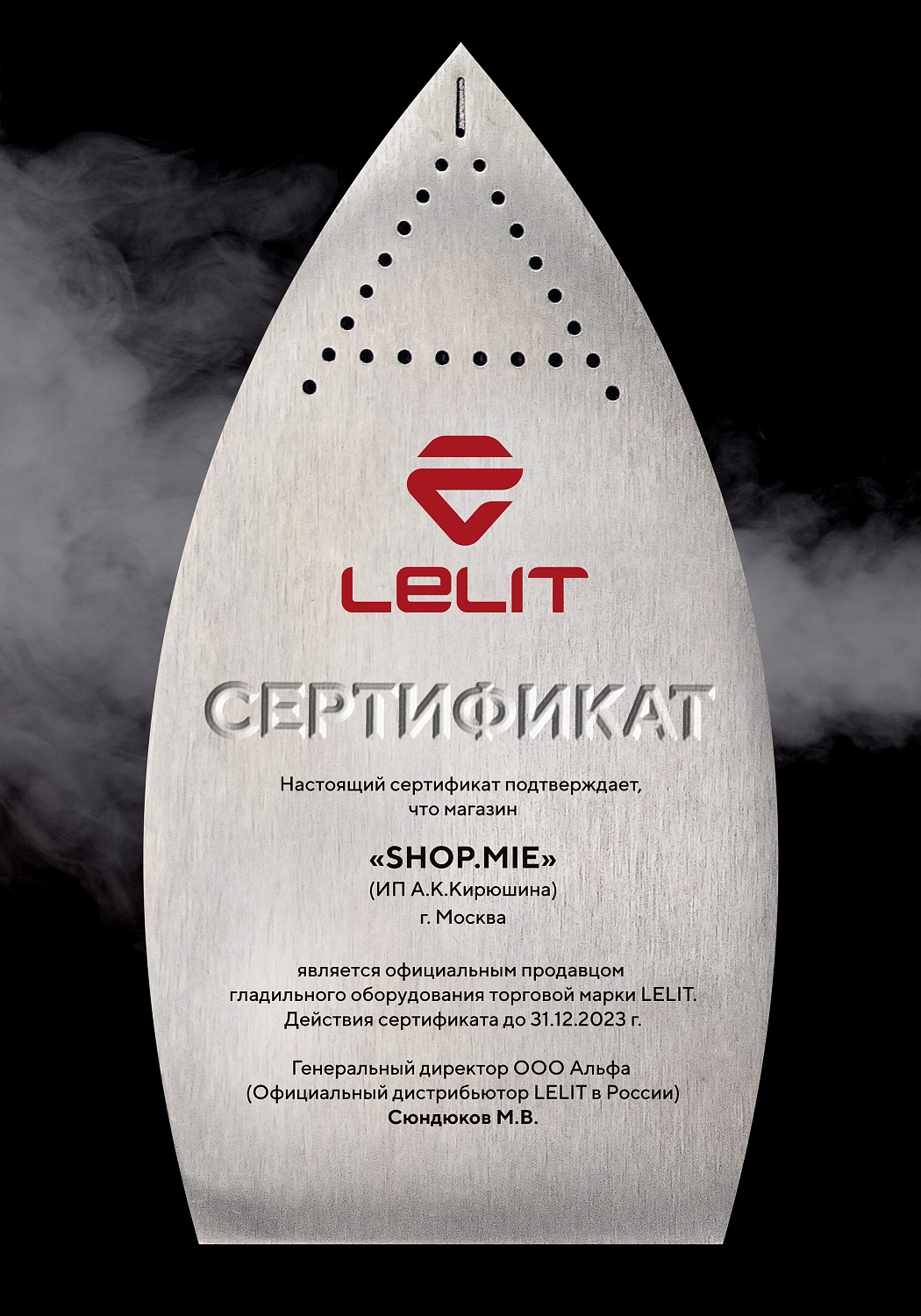Утюг с парогенератором Lelit PG-029N35